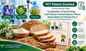 Composition of bread using cold plasma-treated alyssum minus hydrocolloid and triticale flour