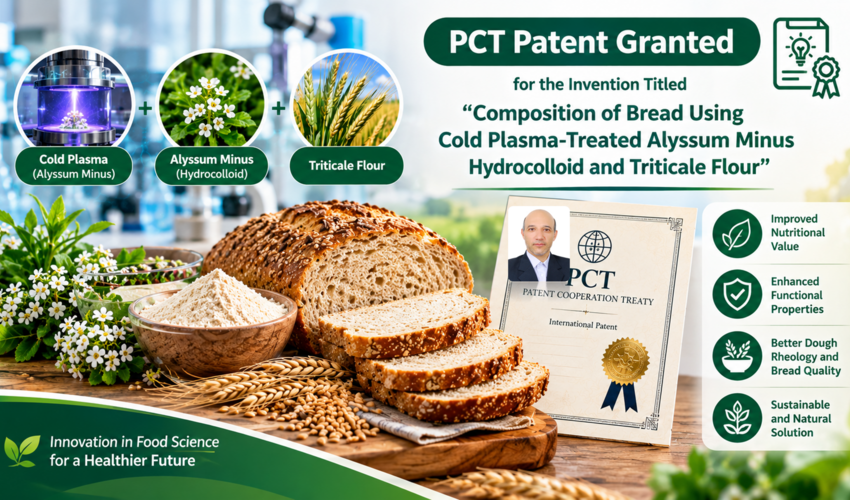 Composition of bread using cold plasma-treated alyssum minus hydrocolloid and triticale flour