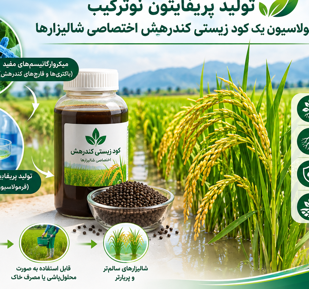 تولید پریفایتون نوترکیب و فرمولاسیون یک کود زیستی کندرهش اختصاصی شالیزارها