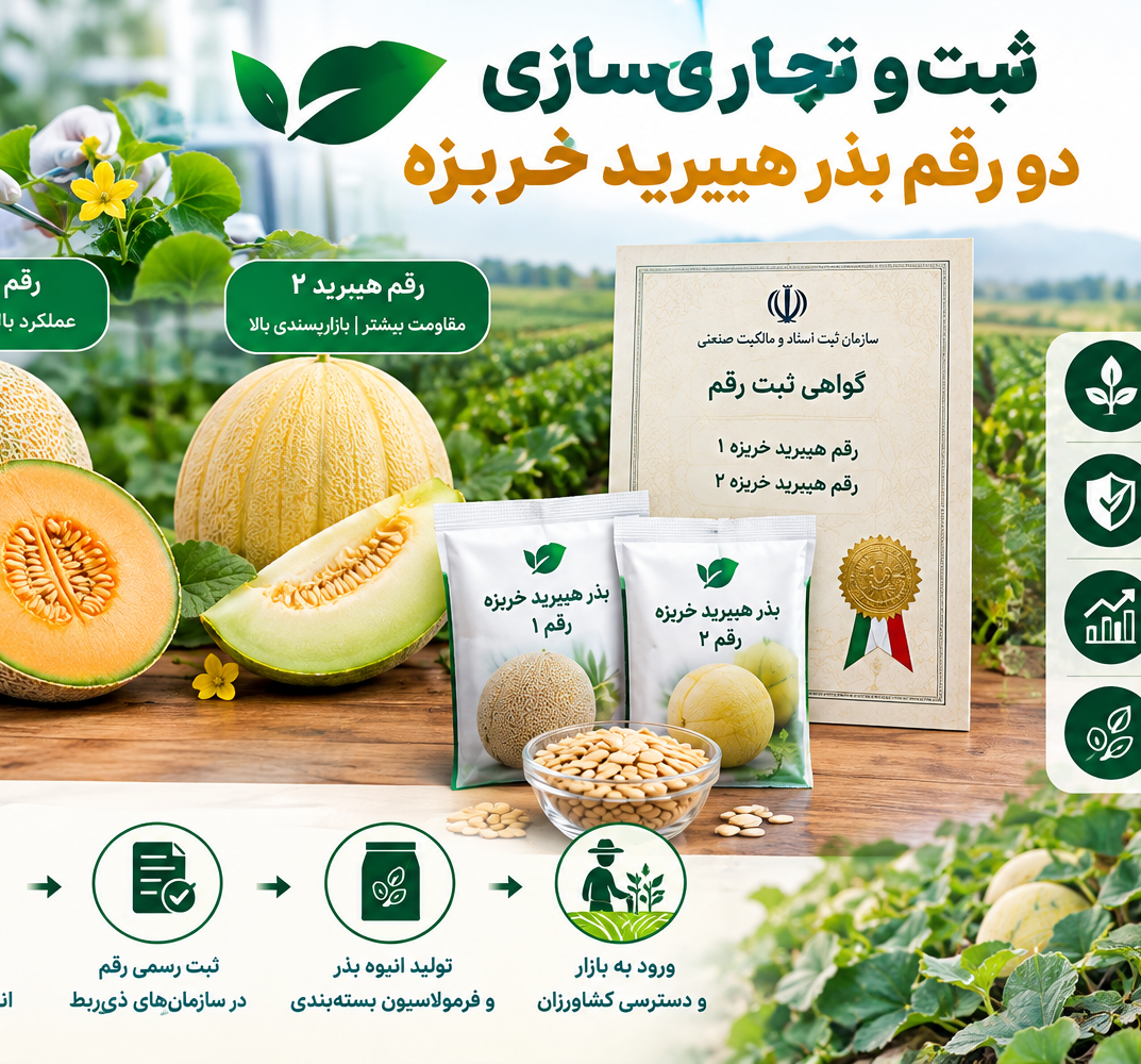 ثبت و تجاری سازی دو رقم هیبرید خربزه- دکتر فروزنده سلطانی