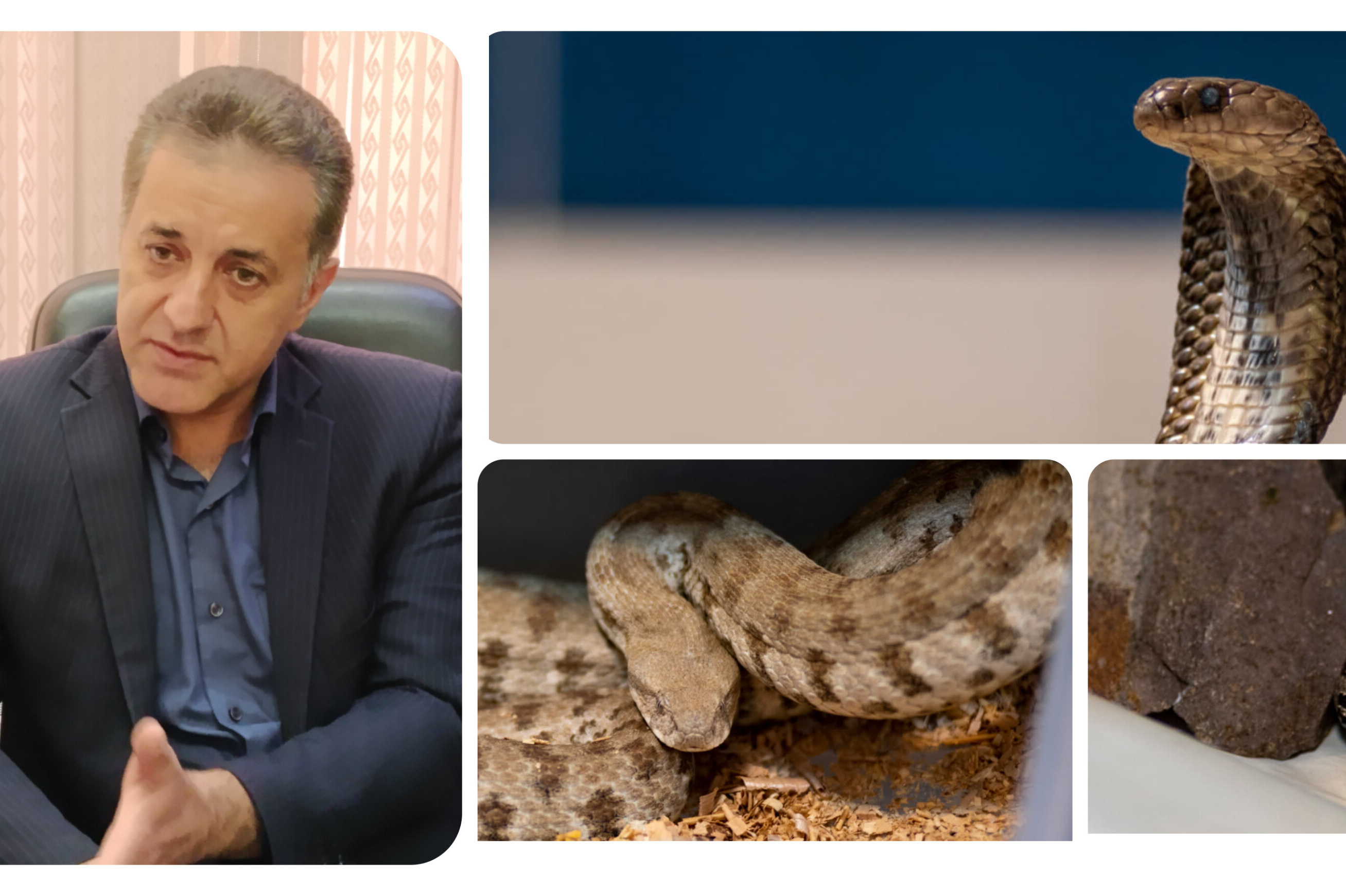مصاحبه تخصصی با آقای دکتر محمد کابلی- تکثیر پرورش  مارهای زهرآگین