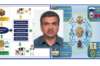 مصاحبه با آقای دکتر محمدحسین کیان مهر  درباره تولید خوراک دام غنی از نیتروژن با هضم‌پذیری بالا