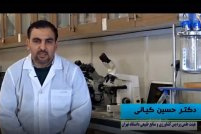 طراحی و ساخت دستگاه سنجش سریع دی تیونیت سدیم در آرد ، نان و خمیر